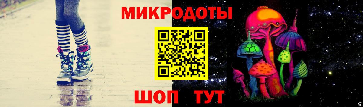 Псилоцибиновые грибы мицелий Сердобск